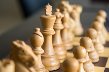 Similar image 20268569