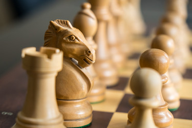 Similar image 20268576