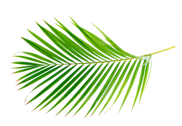 Similar image 20298917