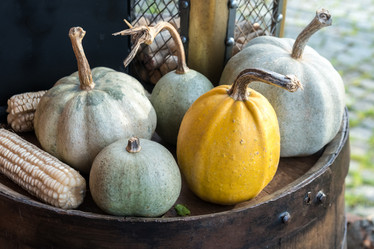 Similar image 20267008