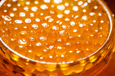 Similar image 20268619