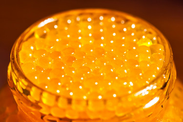 Similar image 20268622