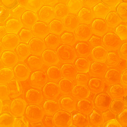 Similar image 20268624