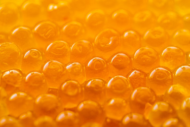 Similar image 20268626