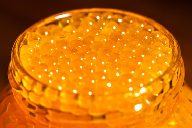 Similar image 20268628