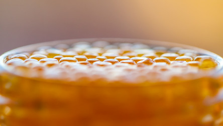 Similar image 20268759