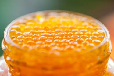 Similar image 20268763