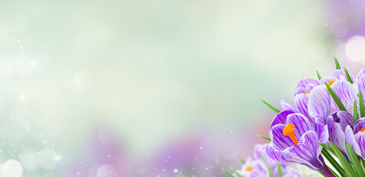 Similar image 20298572