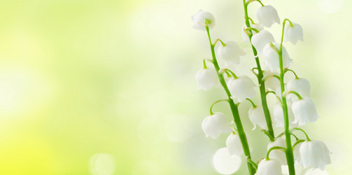 Similar image 20298574