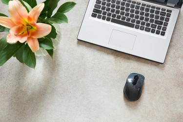 Similar image 20228758