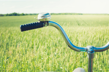 Similar image 20228953