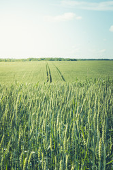 Similar image 20228901