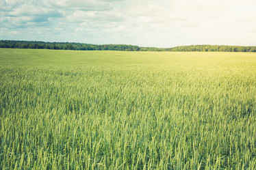 Similar image 20228902