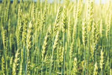 Similar image 20228903