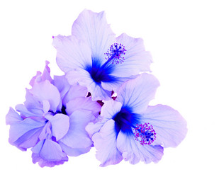 Similar image 20298624