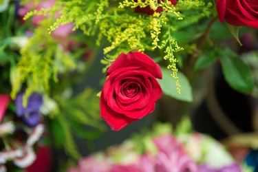 Similar image 20196552