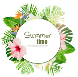 Similar image 20299033