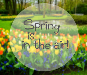 Similar image 20298800