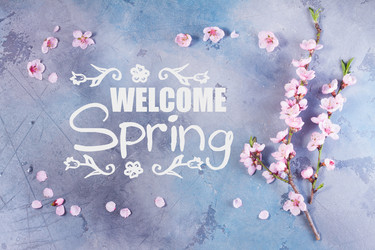 Similar image 20299037