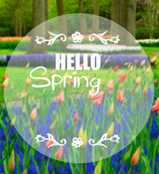 Similar image 20299067