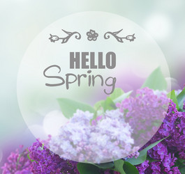 Similar image 20299300