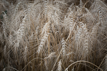 Similar image 20231167