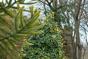 Similar image 20226931