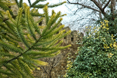 Similar image 20226944