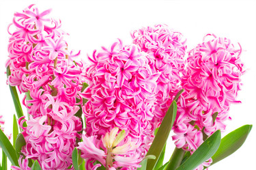 Similar image 20299082