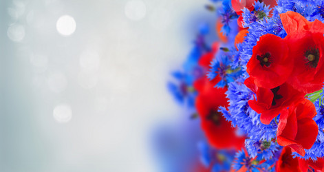 Similar image 20299031