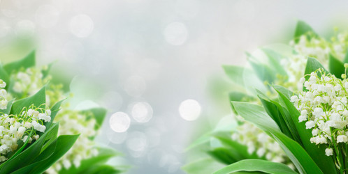 Similar image 20299051