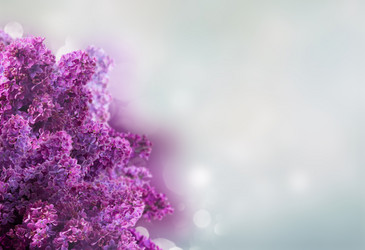 Similar image 20298705