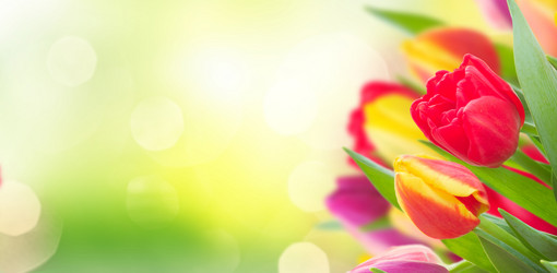 Similar image 20298706