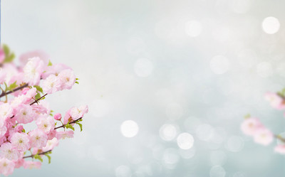 Similar image 20298699