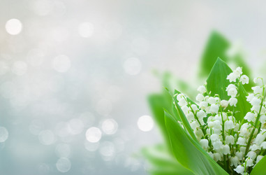 Similar image 20298700