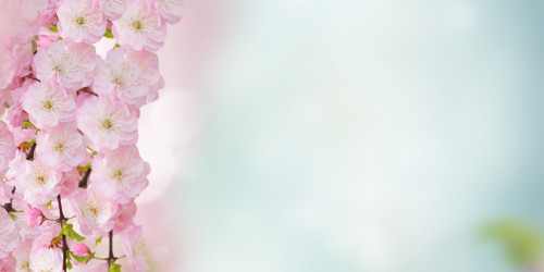 Similar image 20298746