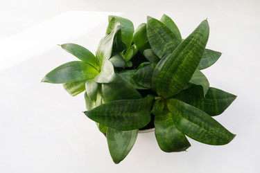 Similar image 20228957