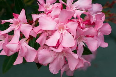 Similar image 20228960