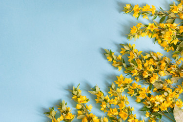 Similar image 20228964