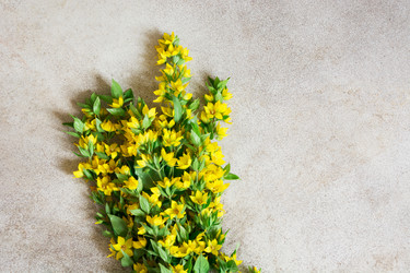 Similar image 20228965