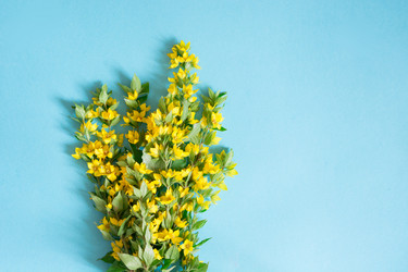 Similar image 20228966