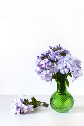 Similar image 20228973