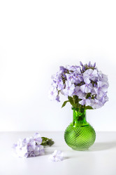 Similar image 20228975