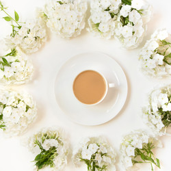 Similar image 20228981