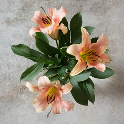 Similar image 20231114