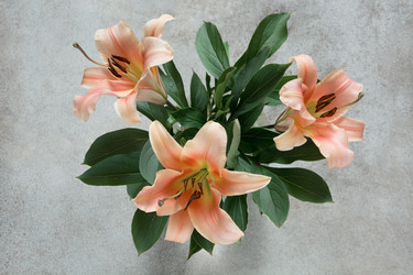 Similar image 20231115