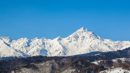 Similar image 20269786