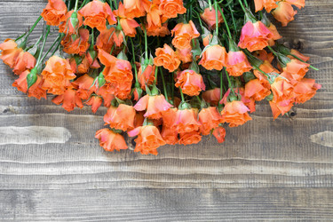 Similar image 20231119