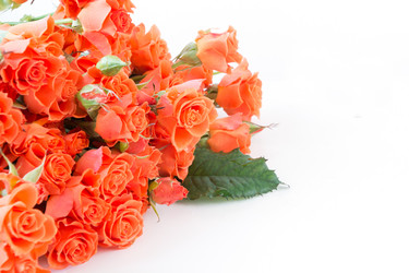 Similar image 20231120