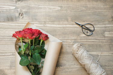 Similar image 20228969